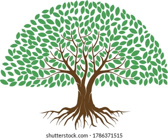 Green Tree with Roots. Vector Illustration