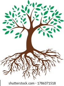 Green Tree with Roots. Vector Illustration
