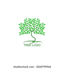 Green Tree with Roots. Vector Illustration.
