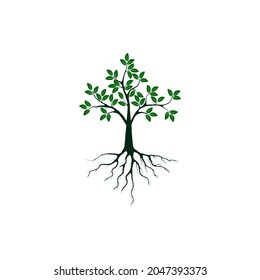 Green Tree with Roots. Vector Illustration.