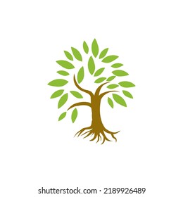 Árbol verde con raíces. Ilustración vectorial.