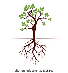 Green Tree and Roots. Vector Illustration.