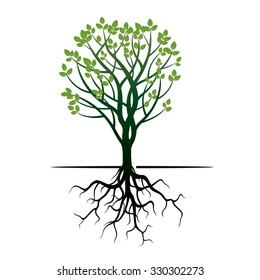 Green Tree and Roots. Vector Illustration.