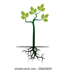 Green Tree and Roots. Vector Illustration.