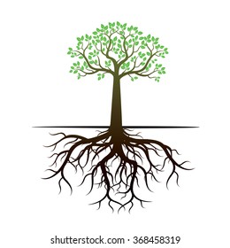 Green Tree and Roots. Vector Illustration.