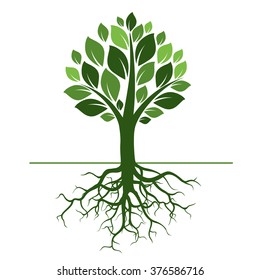Green Tree and Roots. Vector Illustration.