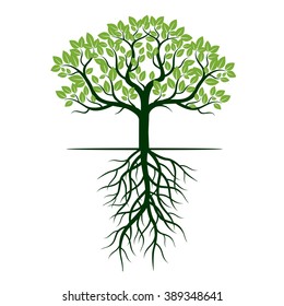 Green Tree and Roots. Vector Illustration.