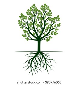 Green Tree Roots Vector Illustration Stock Vector (Royalty Free ...