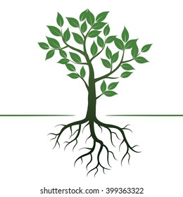 Green Tree and Roots. Vector Illustration.