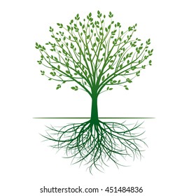 Green Tree and Roots. Vector Illustration.