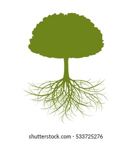 Green Tree and Roots. Vector Illustration.