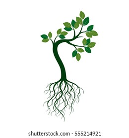 Green Tree with Roots. Vector Illustration.