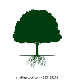 Green Tree with Roots. Vector Illustration.