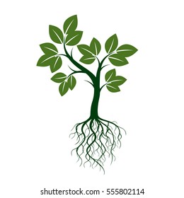 Green Tree with Roots. Vector Illustration.