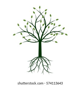 Green Tree with Roots. Vector Illustration.