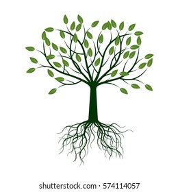 Green Tree with Roots. Vector Illustration.