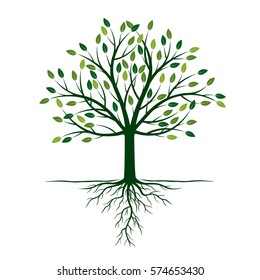 Green Tree with Roots. Vector Illustration.