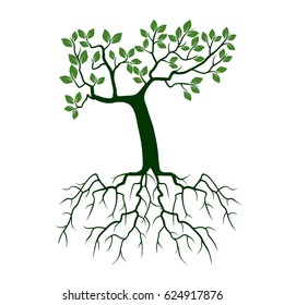 Green Tree with Roots. Vector Illustration.