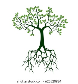 Green Tree with Roots. Vector Illustration.