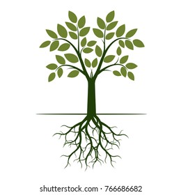 Green Tree Roots Vector Illustration Stock Vector (Royalty Free ...