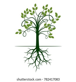 Green Tree with Roots. Vector Illustration.