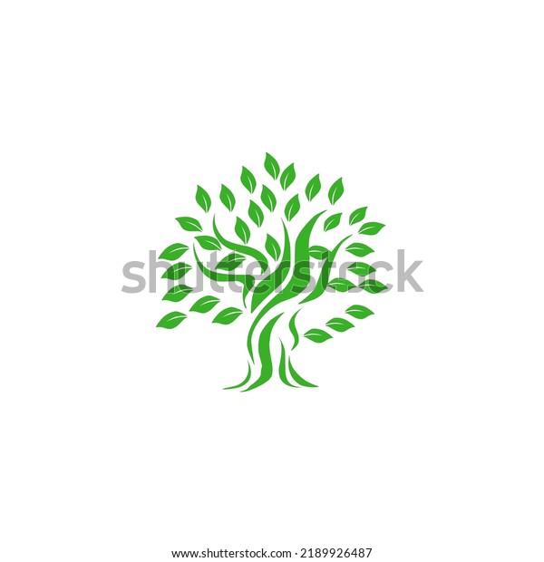 Green Tree Roots Vector Illustration Stock Vector (Royalty Free ...