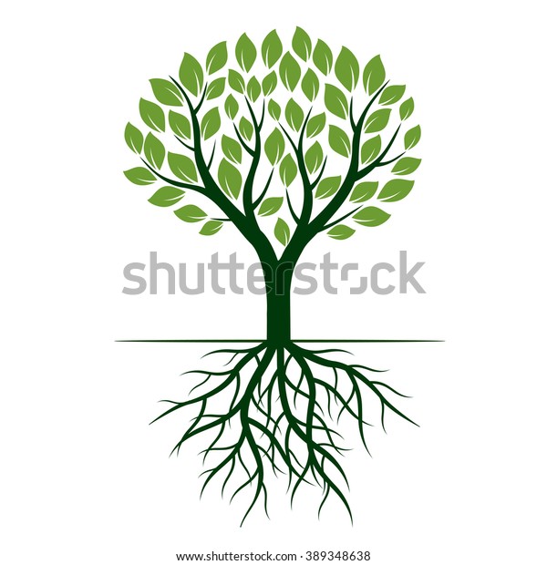 Green Tree Roots Vector Illustration Stock Vector (Royalty Free ...