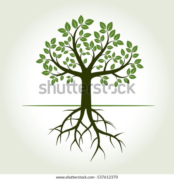 Green Tree Roots Vector Illustration Stock Vector (Royalty Free ...