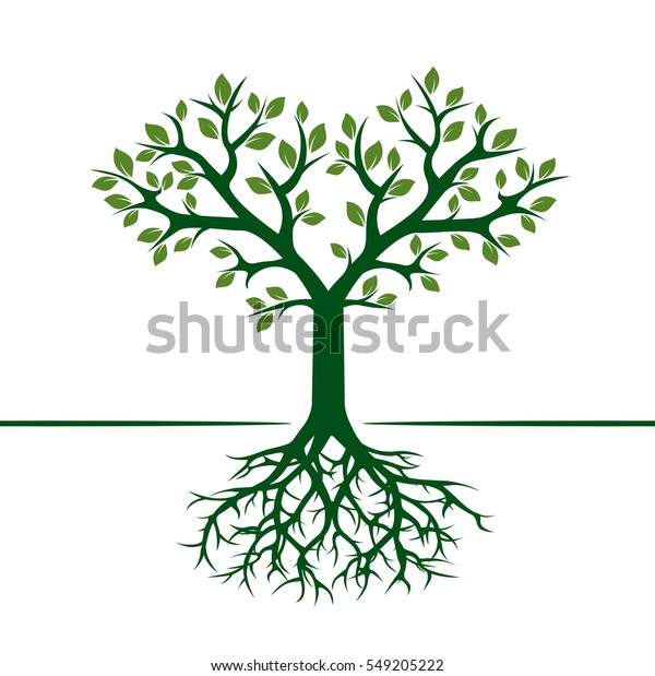 Green Tree Roots Vector Illustration Stock Vector Royalty Free