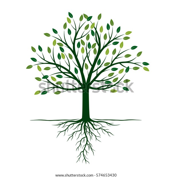 Green Tree Roots Vector Illustration Stock Vector (Royalty Free) 574653430