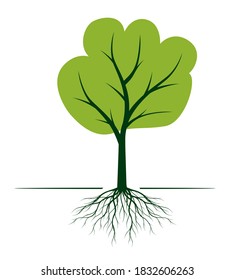 Green Tree with Roots. Vector outline Illustration. Plant in Garden.