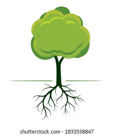 Green Tree with Roots. Vector outline Illustration. Plant in Garden.
