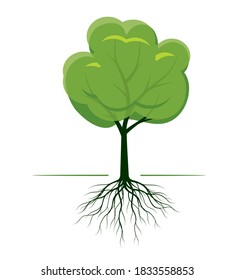 Árbol verde con raíces. Ilustración del contorno del vector. Planta en el jardín.