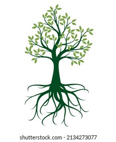 Green Tree with Roots. Vector outline Illustration.