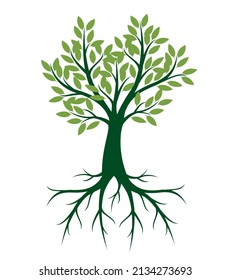 Green Tree Roots Vector Outline Illustration Stock Vector (Royalty Free ...