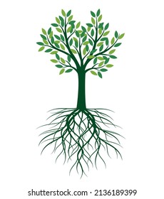 Green Tree with Roots. Vector outline Illustration.
