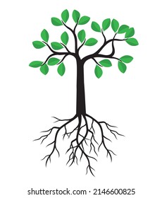 Green Tree with Roots. Vector outline Illustration.