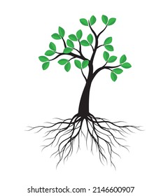 Green Tree Roots Vector Outline Illustration Stock Vector (Royalty Free ...