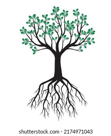 Green Tree Roots Vector Outline Illustration Stock Vector (Royalty Free ...