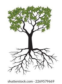Grüner Baum mit Wurzeln. Vektorgrafik-Skizze.