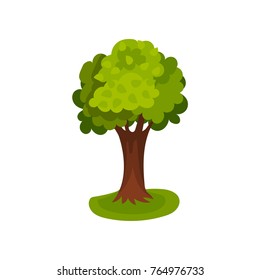Green tree with round crown vector Illustration