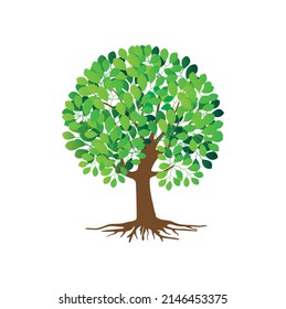 Icono de redondeo verde, diseño del logotipo de la ilustración vectorial.eps 10.