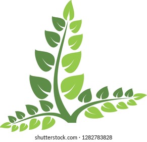 green tree sihluette. vector illustration. vector design.