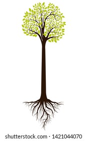 Green tree silhouette. Isolated on white background. Vector