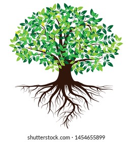 Green tree silhouette. Isolated on white background. Vector illustration