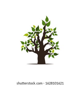 Green tree silhouette. Isolated on white background. Vector illustration