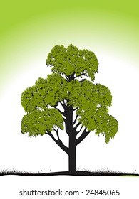 green tree silhouette isolated on green, vector illustration