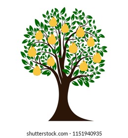 Green tree silhouette. Tree with pear fruit. Isolated on white background. Vector illustration