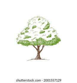 Esbozo de árbol verde con mano dibujada en fondo blanco aislado, ilustración vectorial