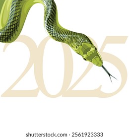 Serpiente de árbol verde aislada sobre fondo blanco símbolo de año nuevo 2025. Vector